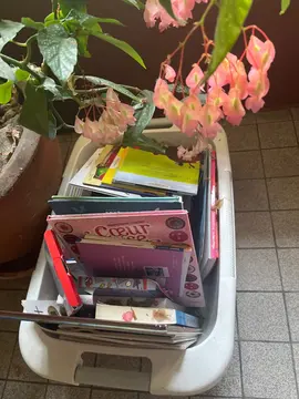 lot livres enfants
