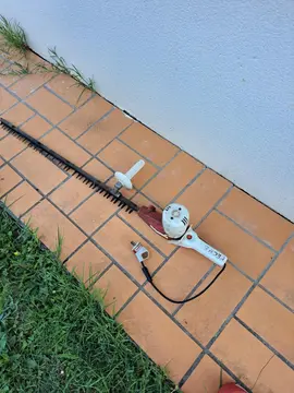 taille haie electrique