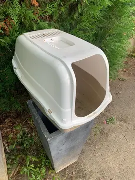 litière chat