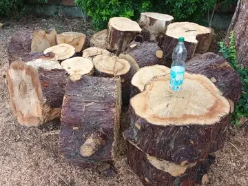 bois