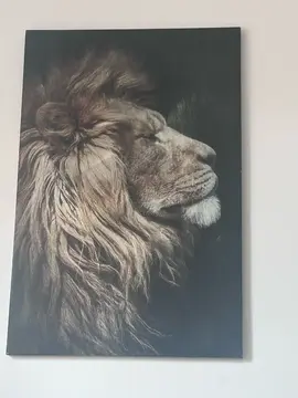 grand cadre lion