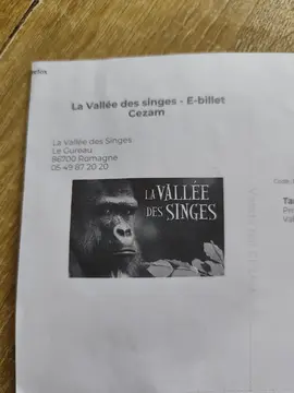 2 billets adultes pour la vallée des singes