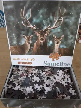 Puzzle rennes 1000 pièces incomplet