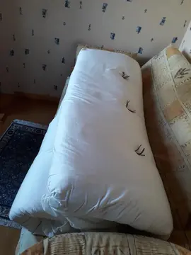 Futon - matelas 2 places