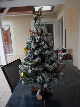 sapin floqué