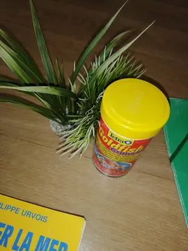 sujet pour aquarium