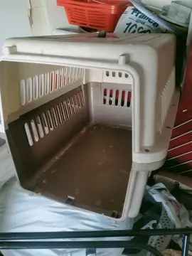 GRANDE CAISSE CHIEN