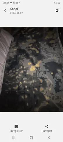 tapis