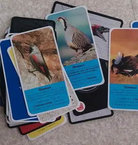 carte animaux