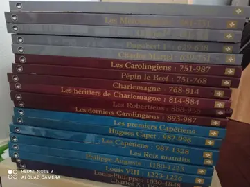 lot de livres sur l'histoire de France