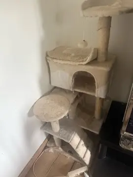 arbre à chat