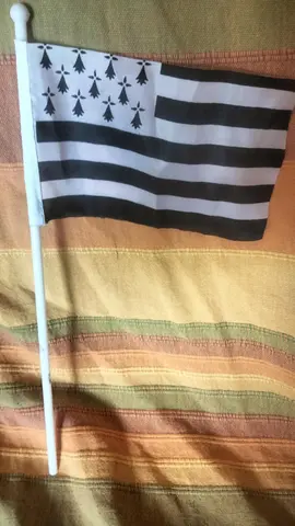 donne petit drapeau breton