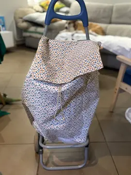 Caddie pour faire les courses