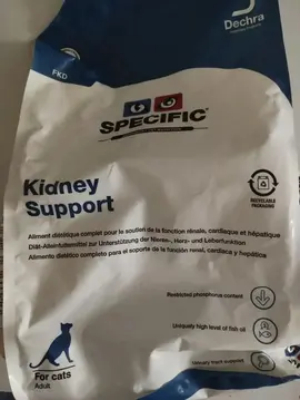 Croquettes pour chat en insuffisance rénale