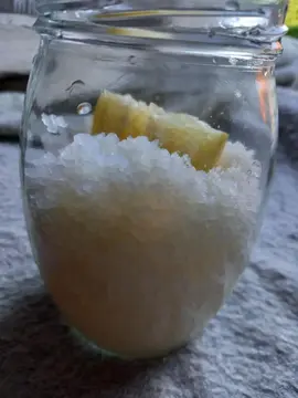 Grains de Kéfir de fruits (bocal n°2)