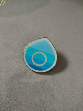 pin's