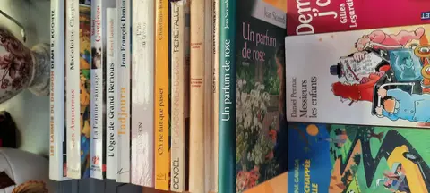 Livres roman, bd