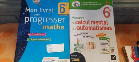 Livres Mathématiques Collège