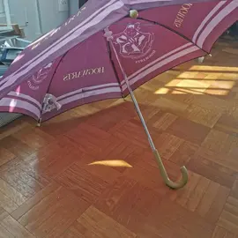 Parapluie Harry Potter