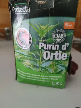 Purin d'ortie