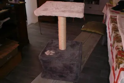 perchoir/chat