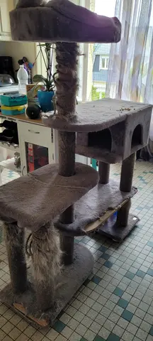 arbre a chat