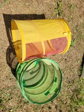 jeu enfant / sac vert