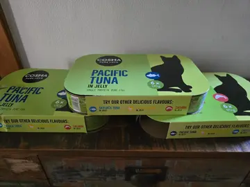 Boîtes pour chat