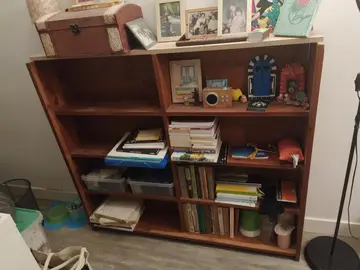 Bibliothèque en bois