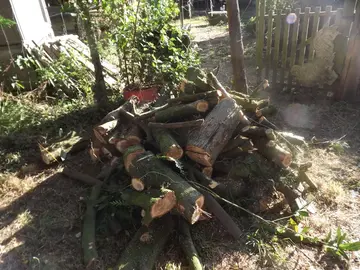 bois de chauffage
