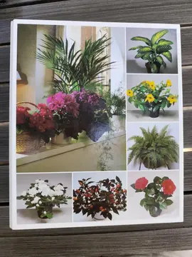 classeur soins et beauté des plantes