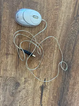 Souris pour ordinateur