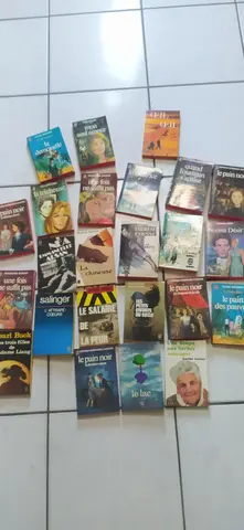 roman livre de poche