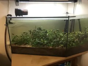 Aquarium TBE 160 Litres avec filtre à Calais