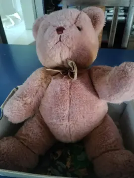 peluche