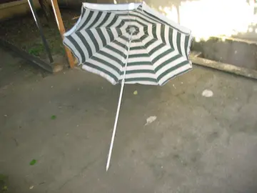 parasol