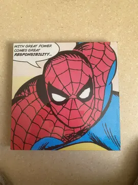 cadre spiderman