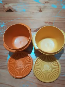 2 boîtes Tupperware