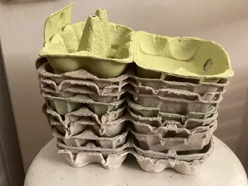 recyclage : boîtes à œufs