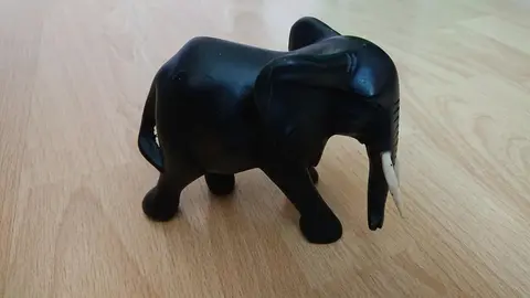 1 Eléphant noir
