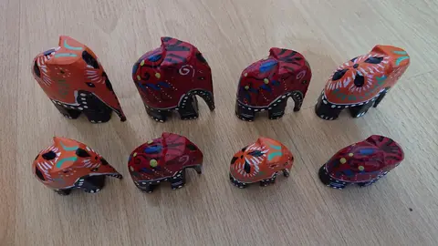 8 éléphants