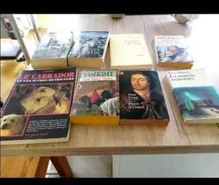 Lot de livres