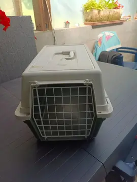 panier de transport animaux