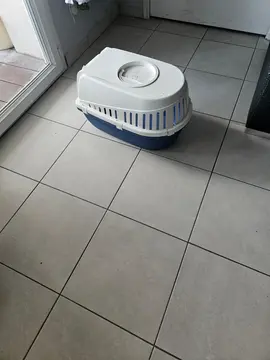 caisse pour chat