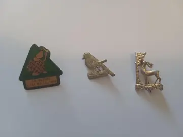 Broches et pin's