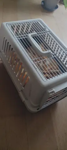 caisse de transport pour chat