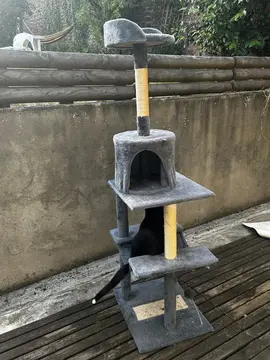 arbre à chat