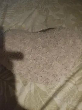 coussin