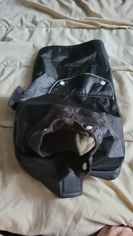 vêtements petit chien