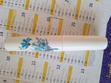 Etui à brosse à dents